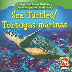 Sea turtles tortugas for sale  Delivered anywhere in USA 