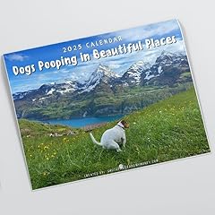 Dogs pooping beautiful for sale  Delivered anywhere in USA 