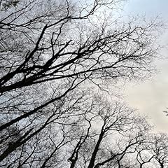The revelation gebraucht kaufen  Wird an jeden Ort in Deutschland