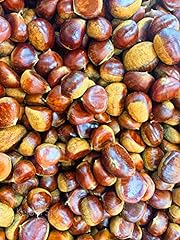 Whole raw chestnuts for sale  Delivered anywhere in USA 