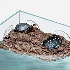 Iplusmile tortue anguille d'occasion  Livré partout en France