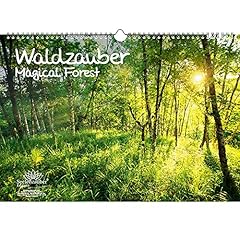 Waldzauber din calendario usato  Spedito ovunque in Italia 