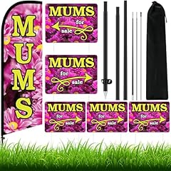 Hillsuren pcs mums for sale  Delivered anywhere in USA 