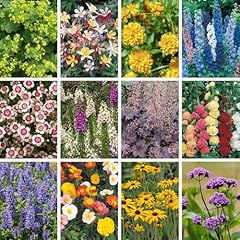 Yougarden cottage garden for sale  Delivered anywhere in UK