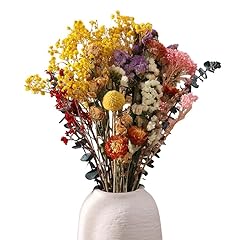 Rosewinec stück trockenblumen gebraucht kaufen  Wird an jeden Ort in Deutschland