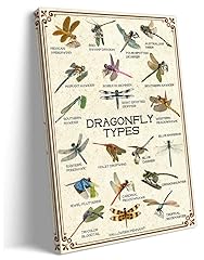 Dragonfly wall art for sale  Delivered anywhere in USA 