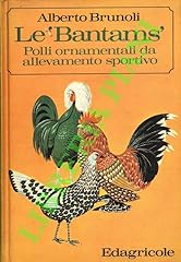Bantams polli ornamentali usato  Spedito ovunque in Italia 