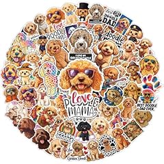 64pcs golden doodle for sale  Delivered anywhere in USA 
