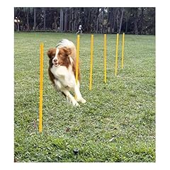 Dog agility training for sale  Delivered anywhere in USA 