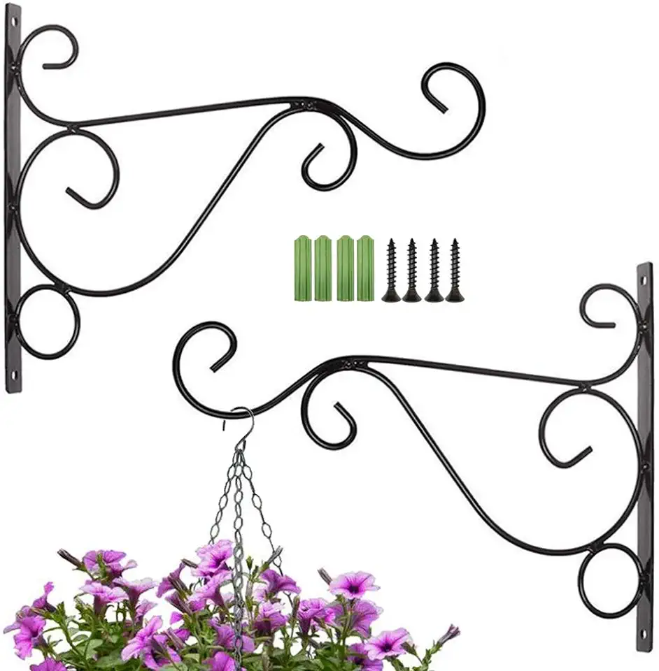 SIYI - XIU 2 stuks bloemhouders, gietijzer, 25 mm, plantenwandhaken, hangende bloemenhouder, tuinhaak, zwart tweedehands  