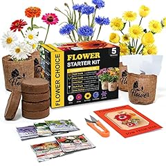 Indoor daisy garden for sale  Delivered anywhere in USA 