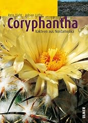 Coryphantha kakteen aus usato  Spedito ovunque in Italia 