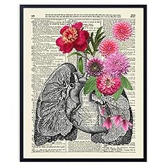 VintBo, Anatomy with Pink and Red Flowers, Vintage for sale  Delivered anywhere in Canada
