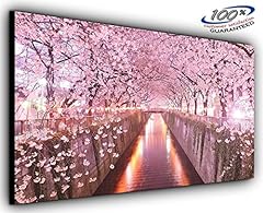 Cherry blossoms panoramic for sale  Delivered anywhere in Ireland