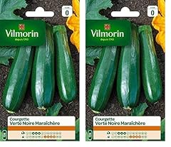 Vilmorin 3484440 courgette d'occasion  Livré partout en France