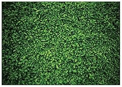 Aiikes 8x6ft green for sale  Delivered anywhere in UK
