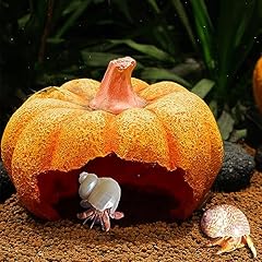 Hermit crab hideout for sale  Delivered anywhere in USA 