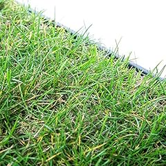 Pille gartenwelt katzengras gebraucht kaufen  Wird an jeden Ort in Deutschland