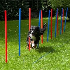 Dog agility slalom gebraucht kaufen  Wird an jeden Ort in Deutschland