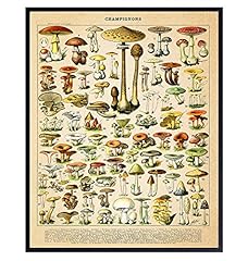 Mushroom poster kitchen for sale  Delivered anywhere in USA 