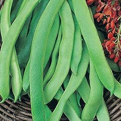 Runner bean seeds for sale  Delivered anywhere in UK