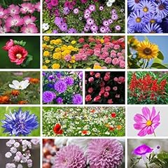 000 premium wildflower for sale  Delivered anywhere in USA 
