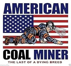Bikerstuffus american coal for sale  Delivered anywhere in USA 