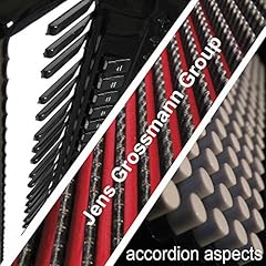 Accordion aspects usato  Spedito ovunque in Italia 