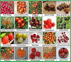 Tomaten set top gebraucht kaufen  Wird an jeden Ort in Deutschland