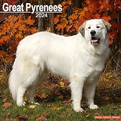 Great pyrenees calendar for sale  Delivered anywhere in UK