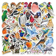 Stück watercolor bird gebraucht kaufen  Wird an jeden Ort in Deutschland