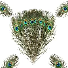 Peacock feathers 15pcs for sale  Delivered anywhere in UK
