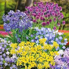 Fantastic spring flowering for sale  Delivered anywhere in UK
