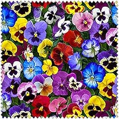 Yard lovely pansies for sale  Delivered anywhere in USA 