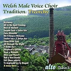 Welsh male voice for sale  Delivered anywhere in UK