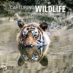 Capturing wildlife moments d'occasion  Livré partout en France