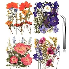 Nuanchu pressed flowers for sale  Delivered anywhere in USA 