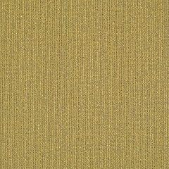 Shaw marlite carpet for sale  Delivered anywhere in USA 