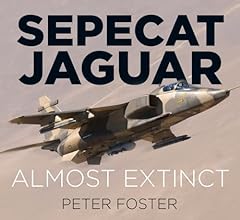 Sepecat jaguar almost for sale  Delivered anywhere in UK