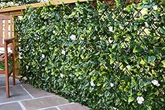 Extreme instant hedging for sale  Delivered anywhere in Ireland