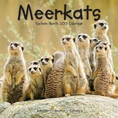 Meerkats 2013 for sale  Delivered anywhere in UK