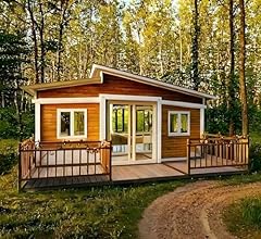 20ft tiny homes for sale  Delivered anywhere in USA 
