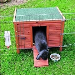 Bunny business rabbit for sale  Delivered anywhere in UK