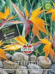 Paradiesvogelblume sperling pa gebraucht kaufen  Wird an jeden Ort in Deutschland