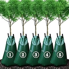 Konigeehre gallon tree for sale  Delivered anywhere in USA 