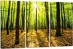 Forest wall art for sale  Delivered anywhere in USA 