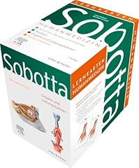 Sobotta lernkarten humanmedizi gebraucht kaufen  Wird an jeden Ort in Deutschland