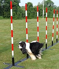 Dogsport dog agility for sale  Delivered anywhere in USA 