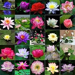 20pcs mixed color for sale  Delivered anywhere in UK