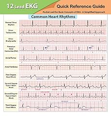 Lead ekg pocket d'occasion  Livré partout en France